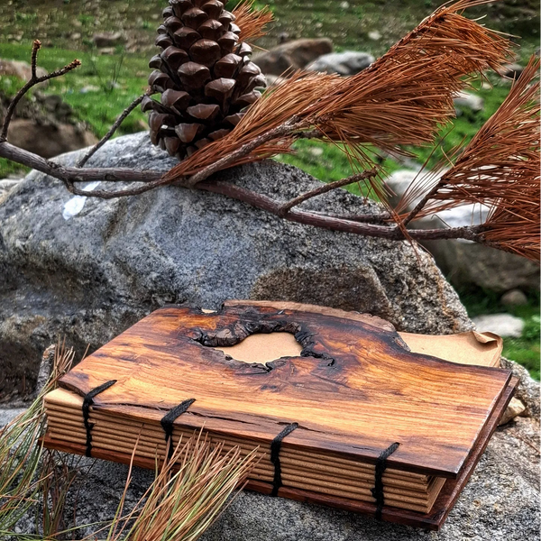 Liveedge journals